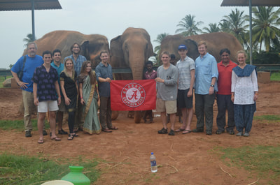 Elephant Rescue Center, 2017