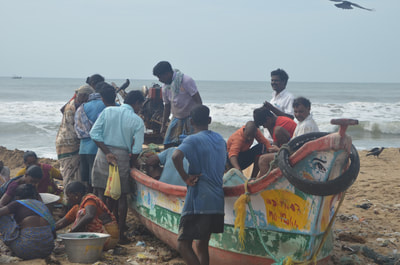 Fishermen and vendors unload a boat returning with caught fish.