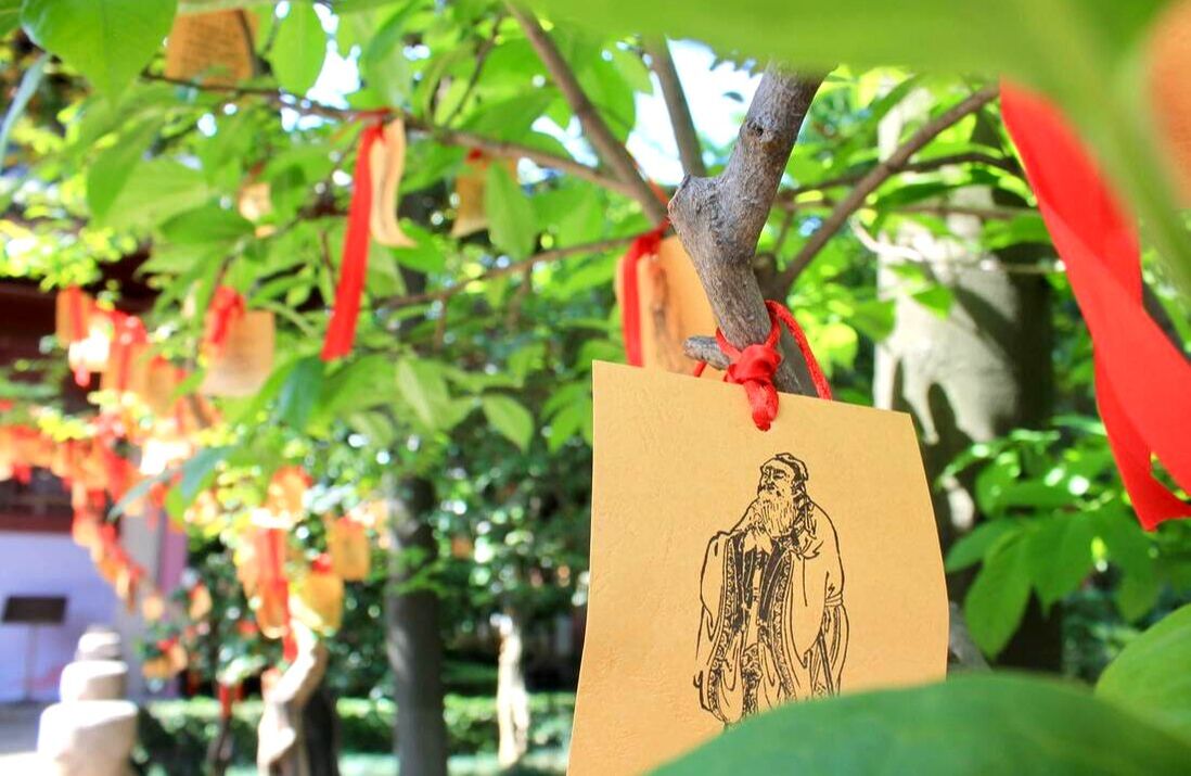 Cards tied to tree with red ribbon
